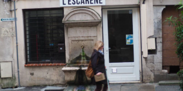 Municipales à Paris : Rachida Dati veut une amende de 300 € contre les déjections canines