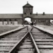 Il y a 81 ans, Auschwitz-Birkenau était libéré
