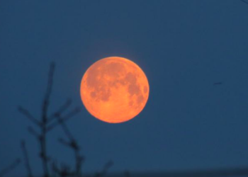 Lune de Sang : l’éclipse totale a embrasé le ciel cette nuit