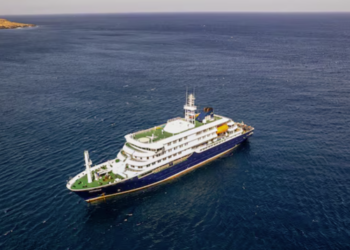 Croisière hantavirus : plusieurs morts et une alerte sanitaire mondiale