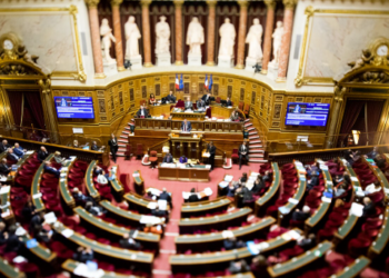 “Un hommage rarissime” : le Sénat observe une minute de silence pour Lyhanna