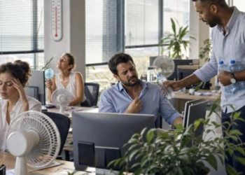 Canicule en France : comment se refroidir sans ventilateur ni climatisation ?