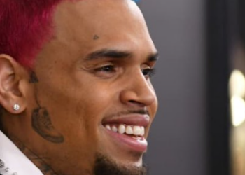 Chris Brown condamné à verser 13 millions de dollars après l&rsquo;attaque de son chien contre son employée