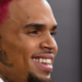 Chris Brown condamné à verser 13 millions de dollars après l&rsquo;attaque de son chien contre son employée