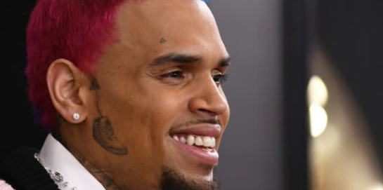 Chris Brown condamné à verser 13 millions de dollars après l’attaque de son chien contre son employée