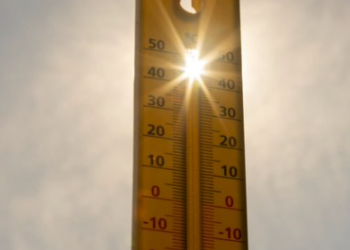 Canicule : 67 départements placés en vigilance orange ce mercredi