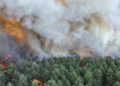 Incendie de Fontainebleau : la piste d’un départ de feu volontaire étudiée