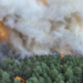 Incendie de Fontainebleau : la piste d’un départ de feu volontaire étudiée