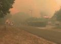 Incendies en Gironde : pourquoi Lège-Cap-Ferret demande aux habitants de plonger leurs bouteilles de gaz dans les piscines