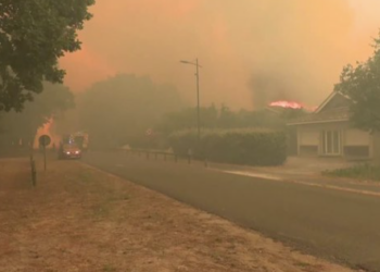 Incendies en Gironde : pourquoi Lège-Cap-Ferret demande aux habitants de plonger leurs bouteilles de gaz dans les piscines