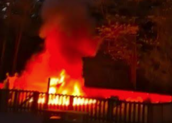 Incendie en Essonne : un feu en cours dans le parc naturel du Perray, d&rsquo;importants moyens mobilisés